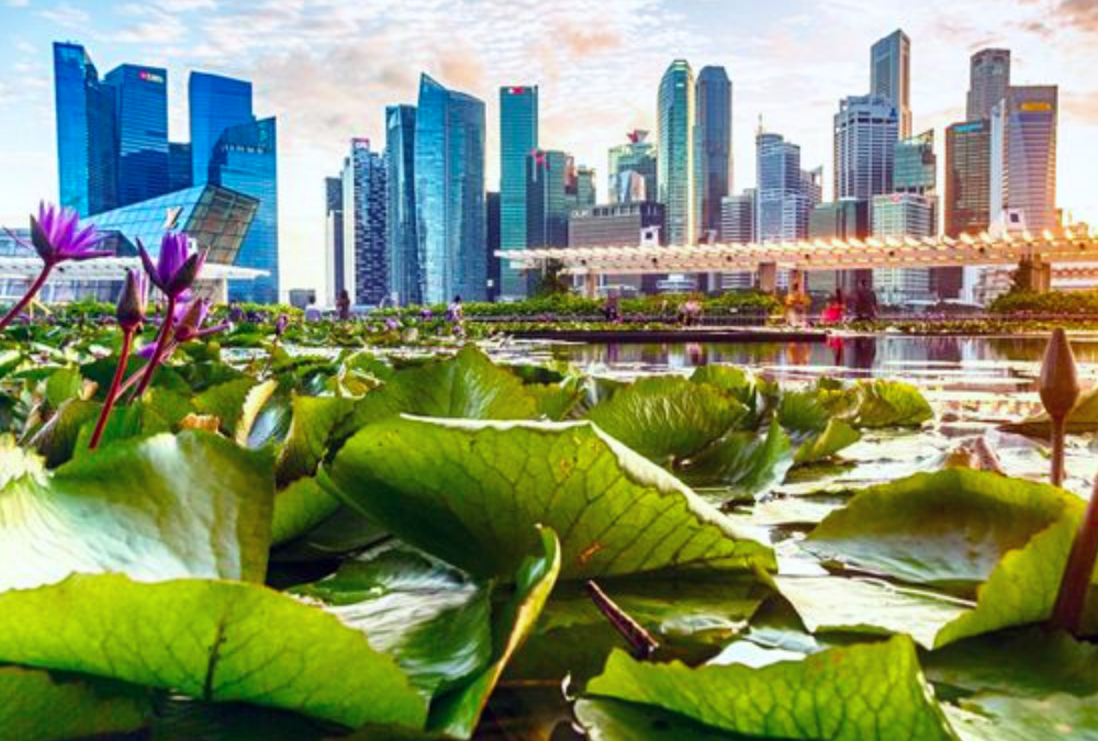 Why Singapore can be Asia’s Leading Centre for Green FinTech