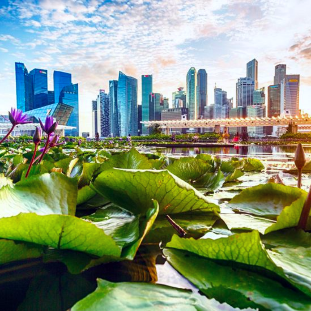 Singapore as Leading Green FinTech Hub homepage