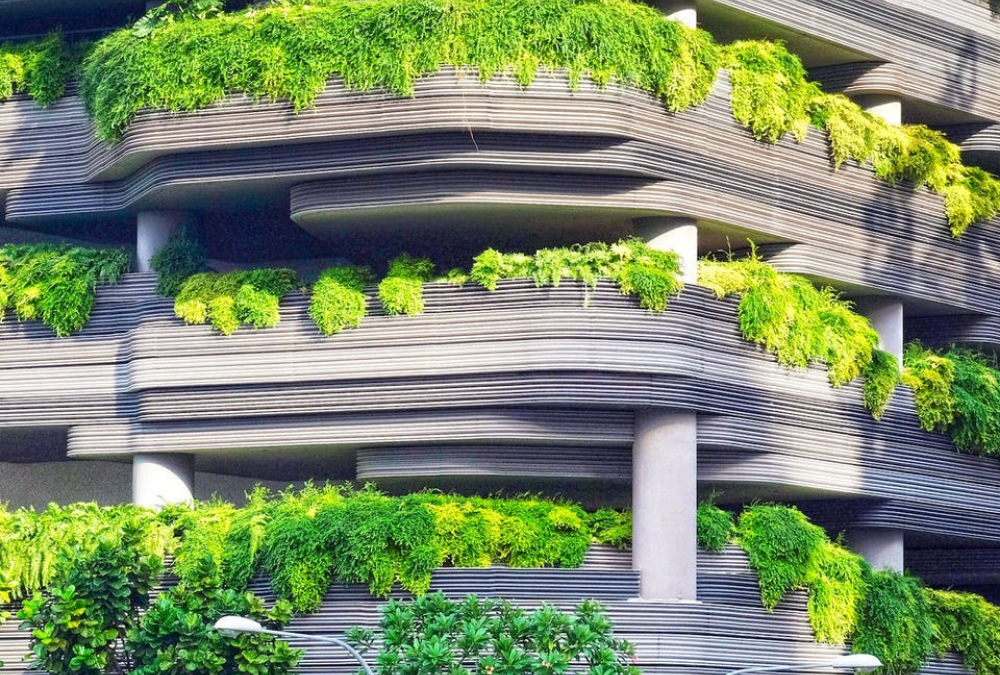Singapore’s vision for a carbon-neutral society requires new wave of ESG tech leaders