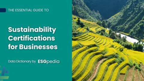 Guide To Sustainability Certifications For Businesses – ESG Data ...