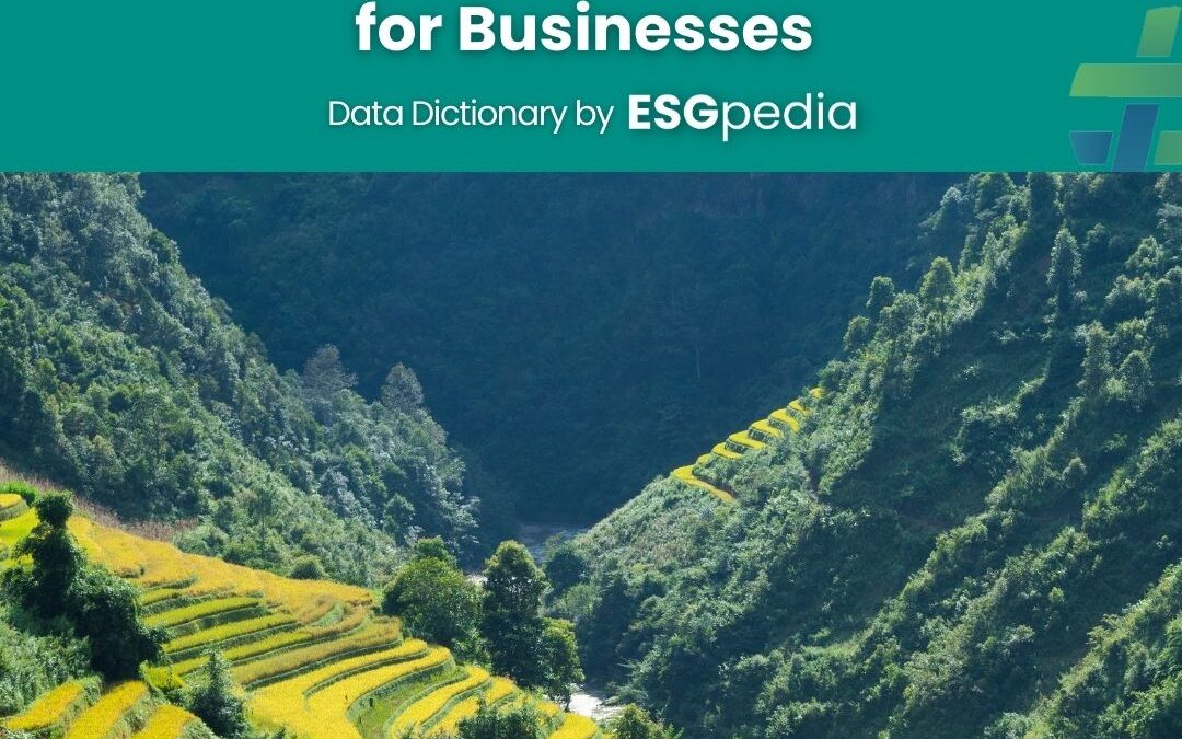 Guide to Sustainability Certifications for businesses – ESGpedia ESG Data Dictionary