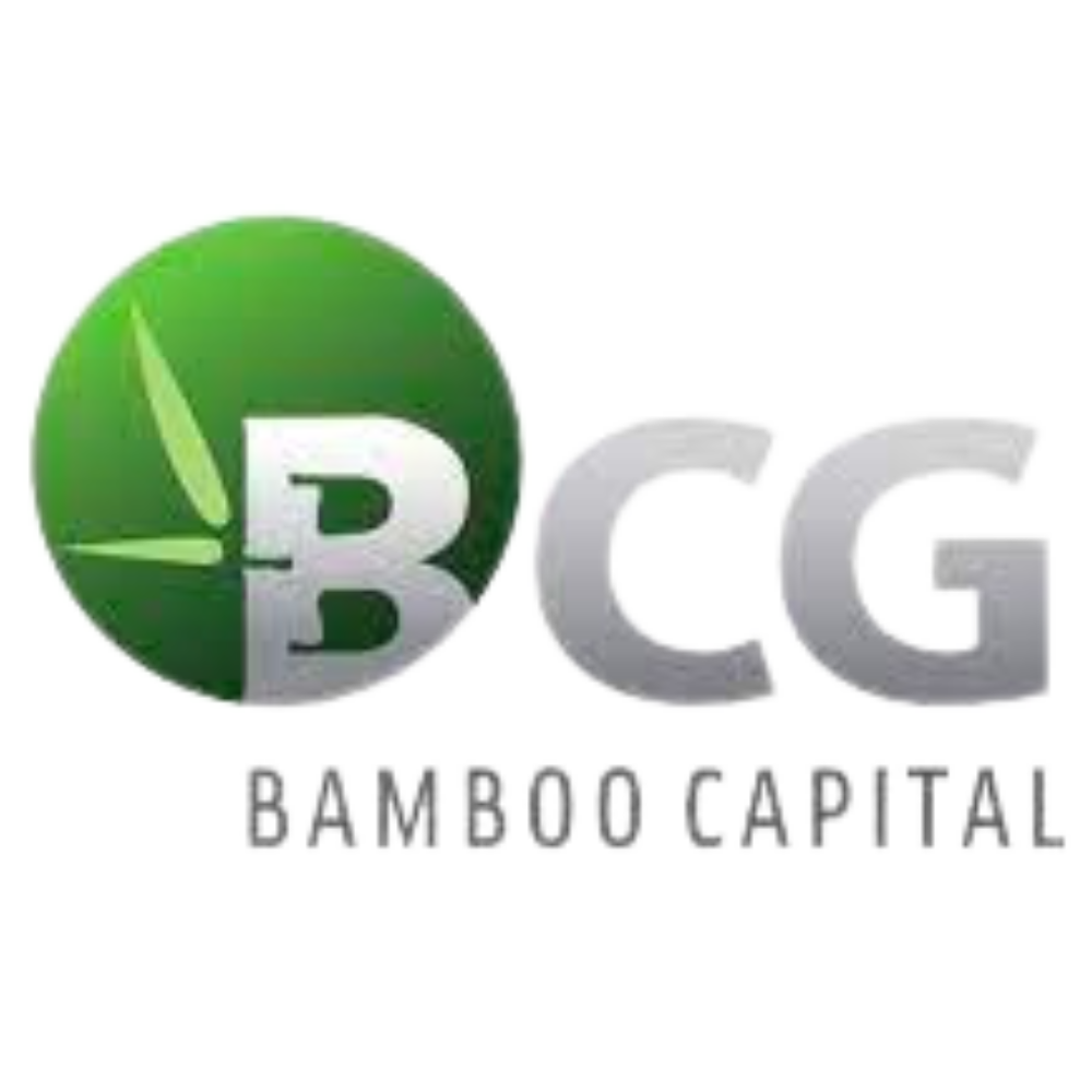 bamboo capital group